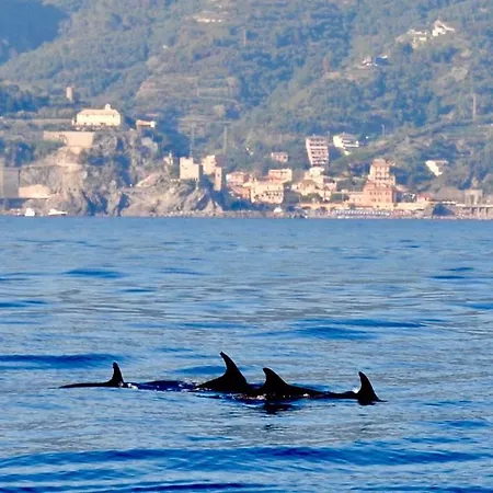 Monterossohome Appartement Monterosso al Mare